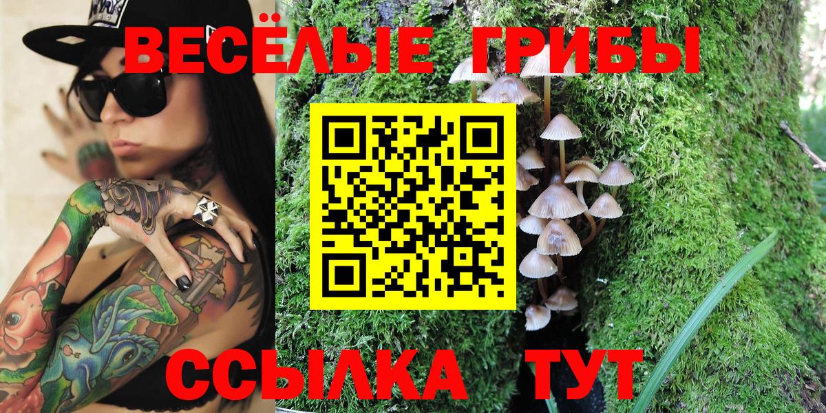 цены   Псилоцибиновые грибы Psilocybe  Вход с VPN  Верхняя Салда 